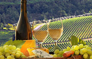 Vianello Limousine Service Prosecco wine tour